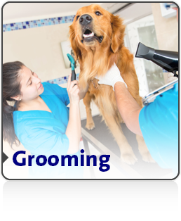 grooming